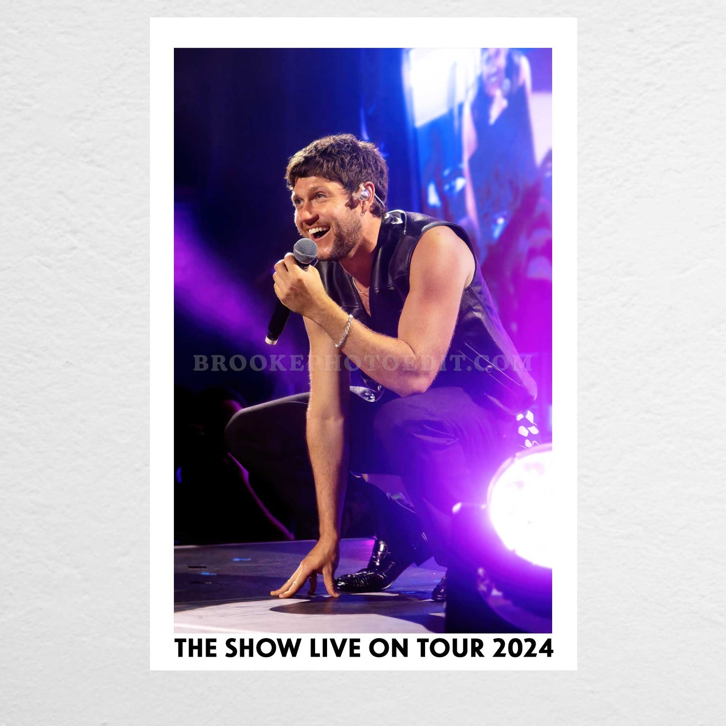 Niall The Show Live On Tour Nashville Poster Print