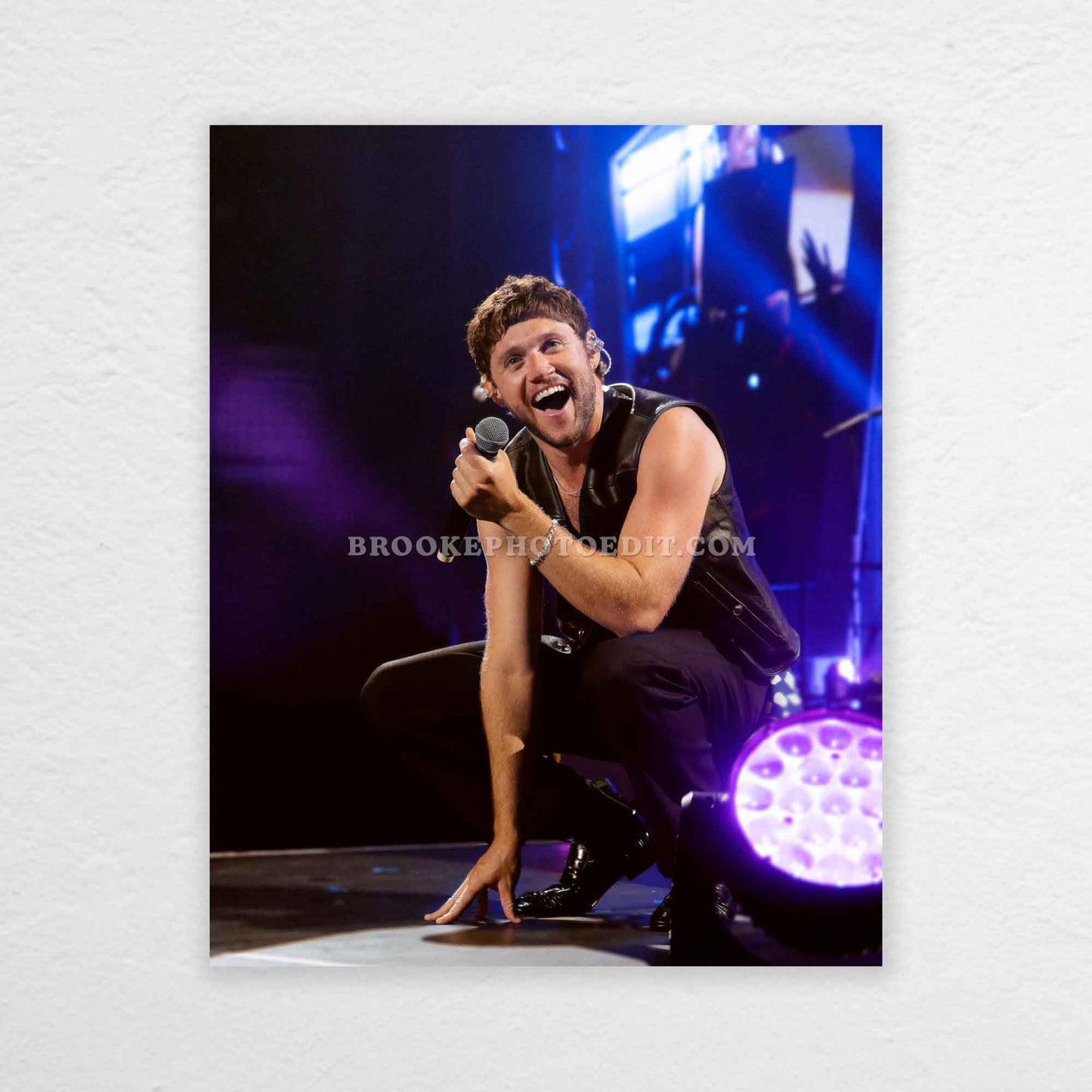 Niall The Show Live On Tour Nashville Poster Print