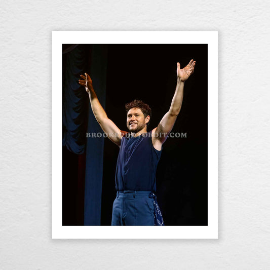Niall The Show Live On Tour Cincinnati Poster Print