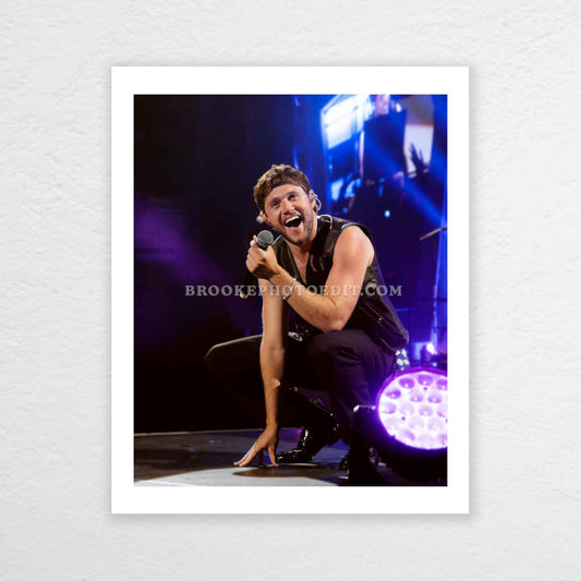 Niall The Show Live On Tour Nashville Poster Print
