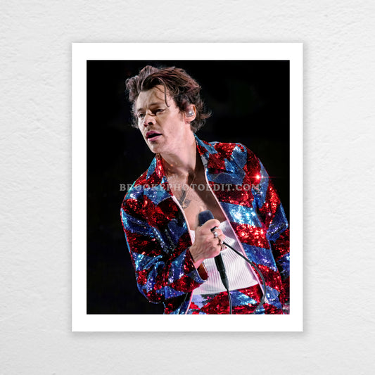 Chicago Night 1 Poster Print