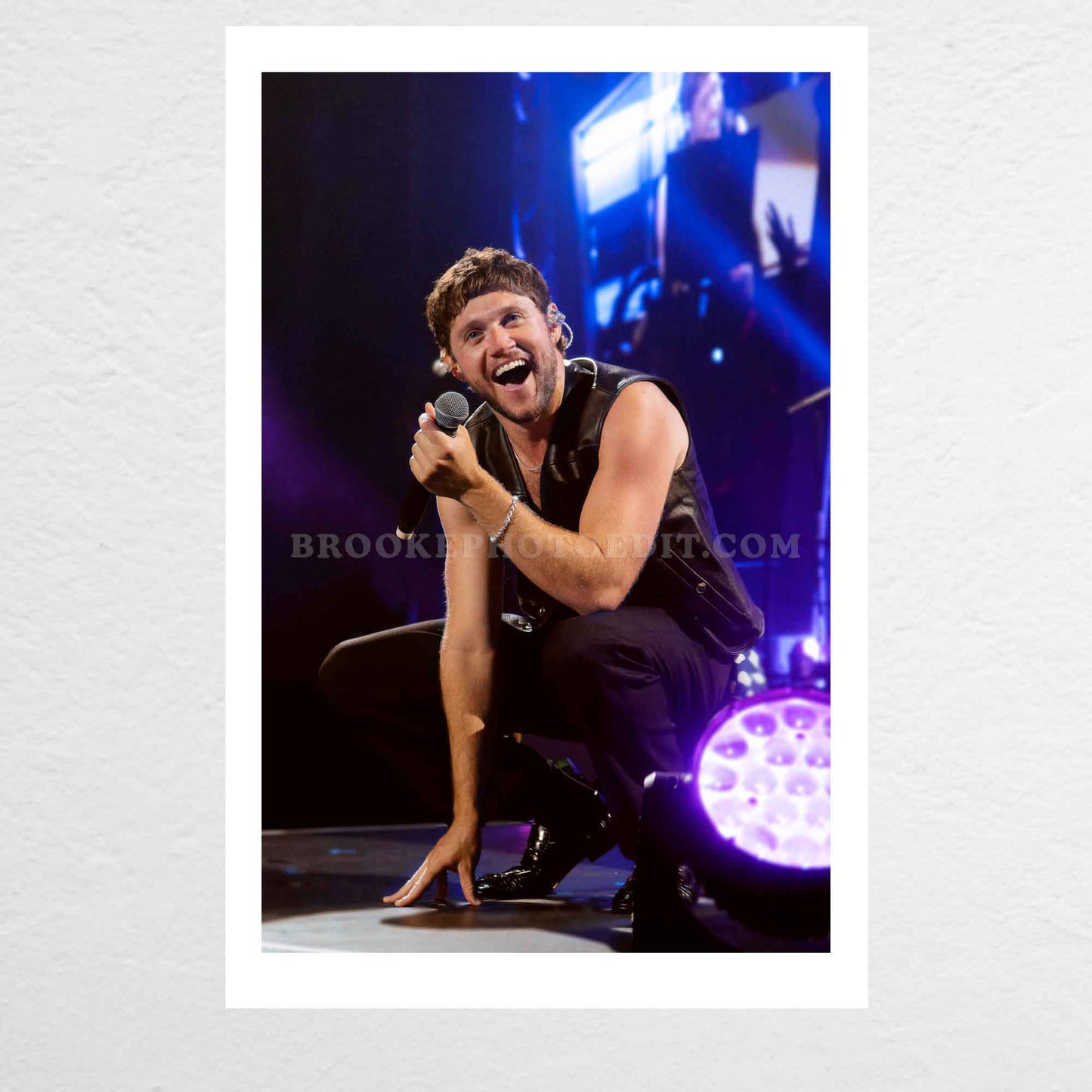 Niall The Show Live On Tour Nashville Poster Print