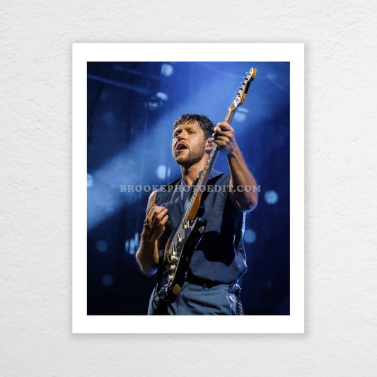 Niall The Show Live On Tour Cincinnati Poster Print