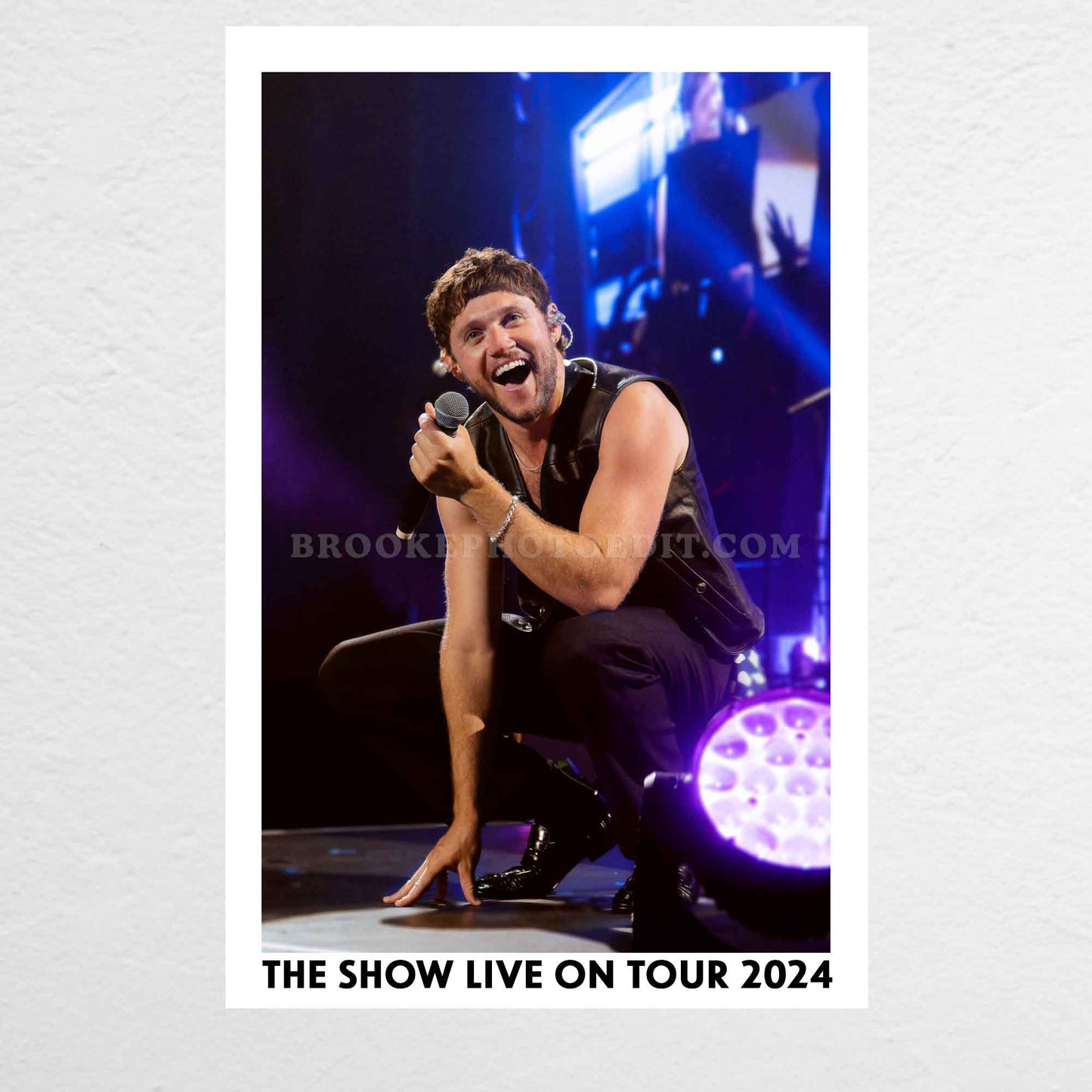 Niall The Show Live On Tour Nashville Poster Print