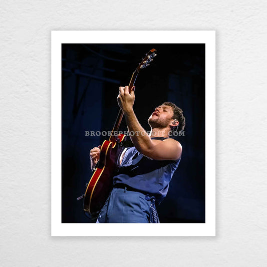 Niall The Show Live On Tour Cincinnati Poster Print