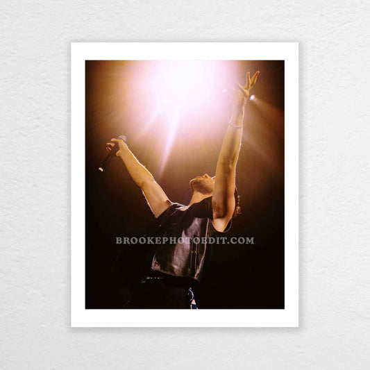 Niall The Show Live On Tour Nashville Poster Print