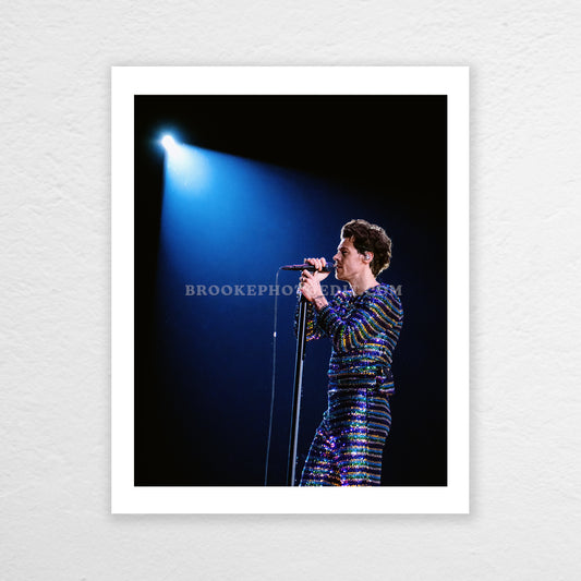 LA Night 14 Poster Print