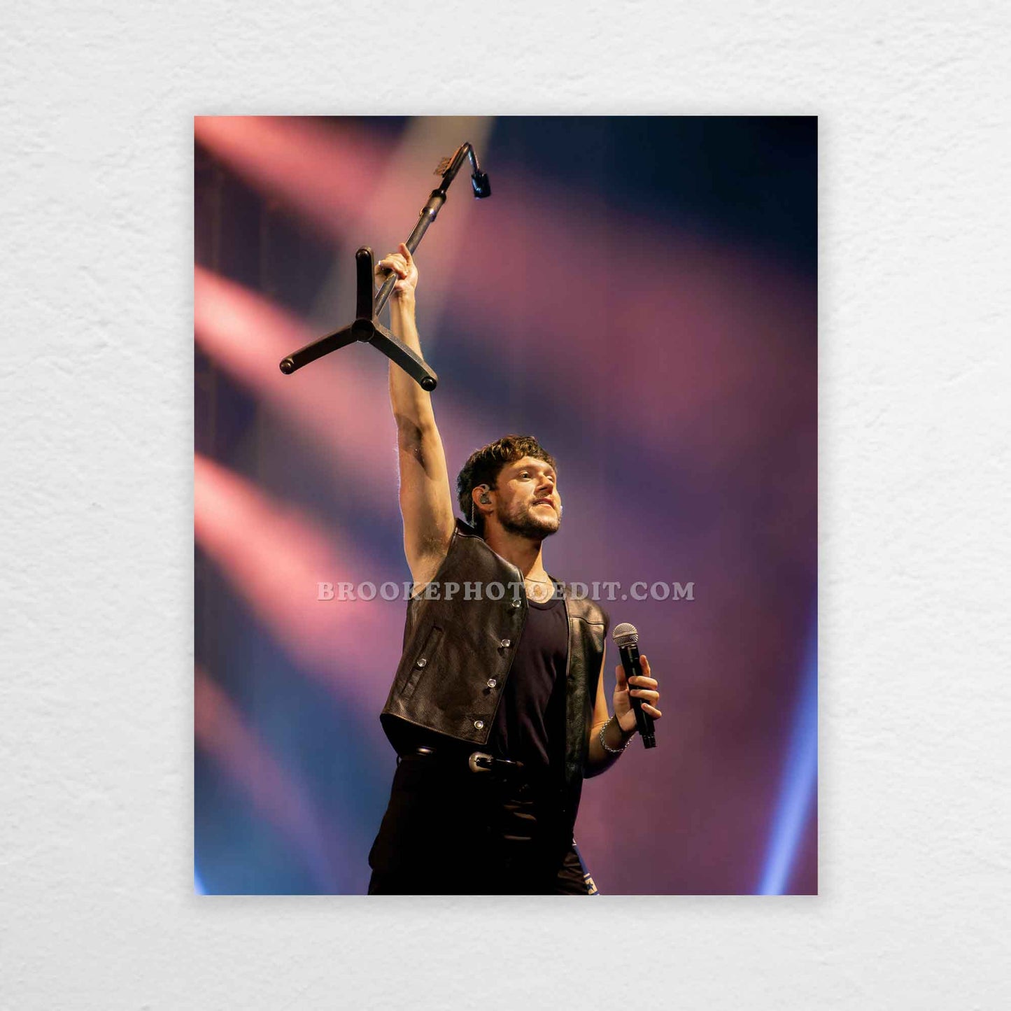 Niall The Show Live On Tour Nashville Poster Print
