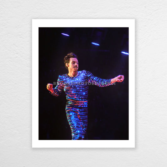 LA Night 14 Poster Print