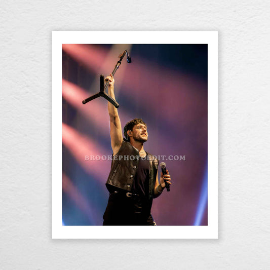 Niall The Show Live On Tour Nashville Poster Print