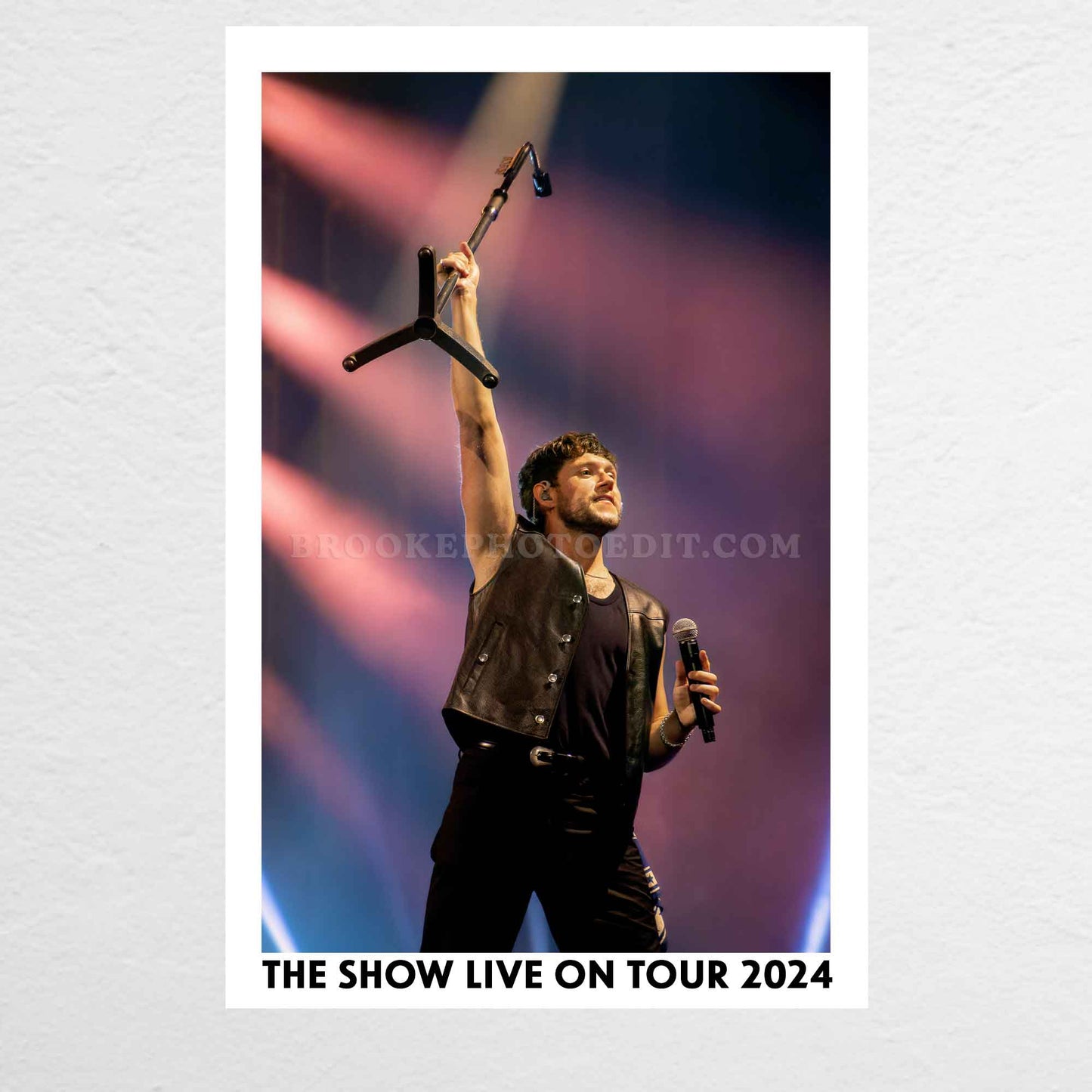 Niall The Show Live On Tour Nashville Poster Print