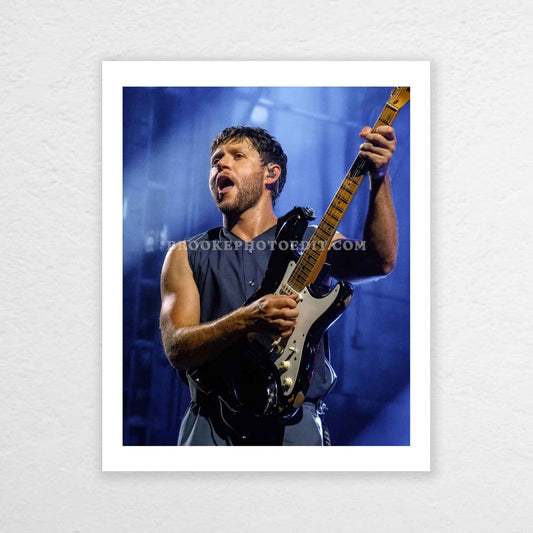 Niall The Show Live On Tour Cincinnati Poster Print