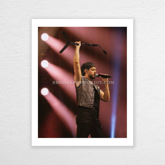 Niall The Show Live On Tour Nashville Poster Print