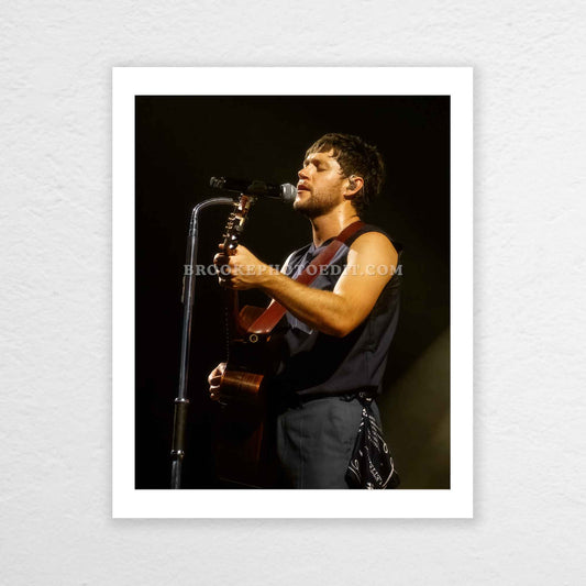 Niall The Show Live On Tour Cincinnati Poster Print