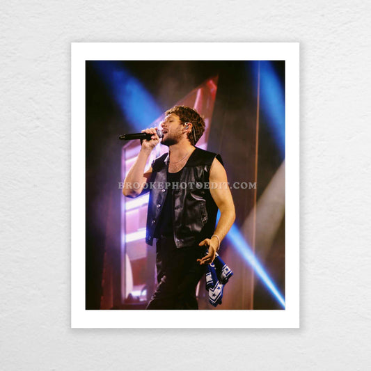 Niall The Show Live On Tour Nashville Poster Print