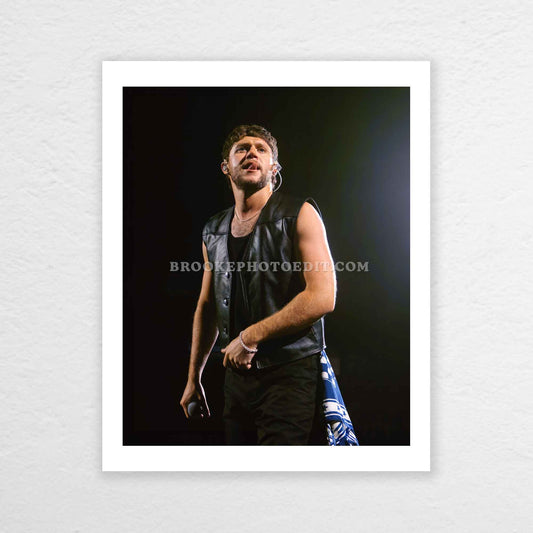 Niall The Show Live On Tour Nashville Poster Print