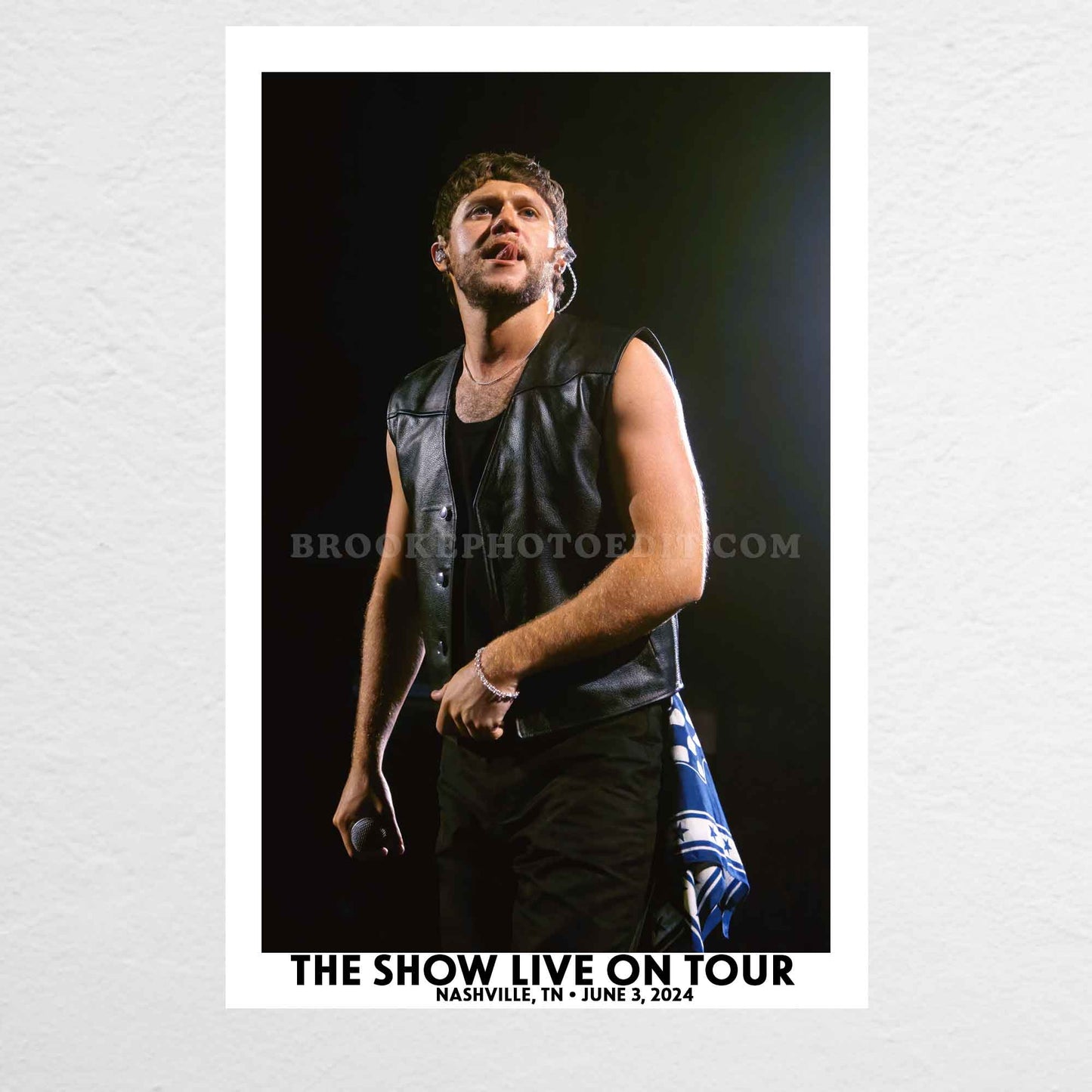 Niall The Show Live On Tour Nashville Poster Print