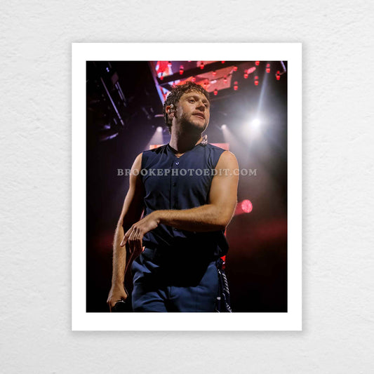 Niall The Show Live On Tour Cincinnati Poster Print