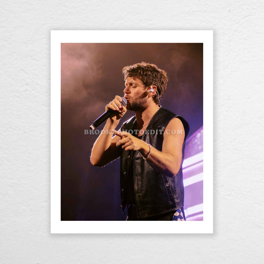 Niall The Show Live On Tour Nashville Poster Print