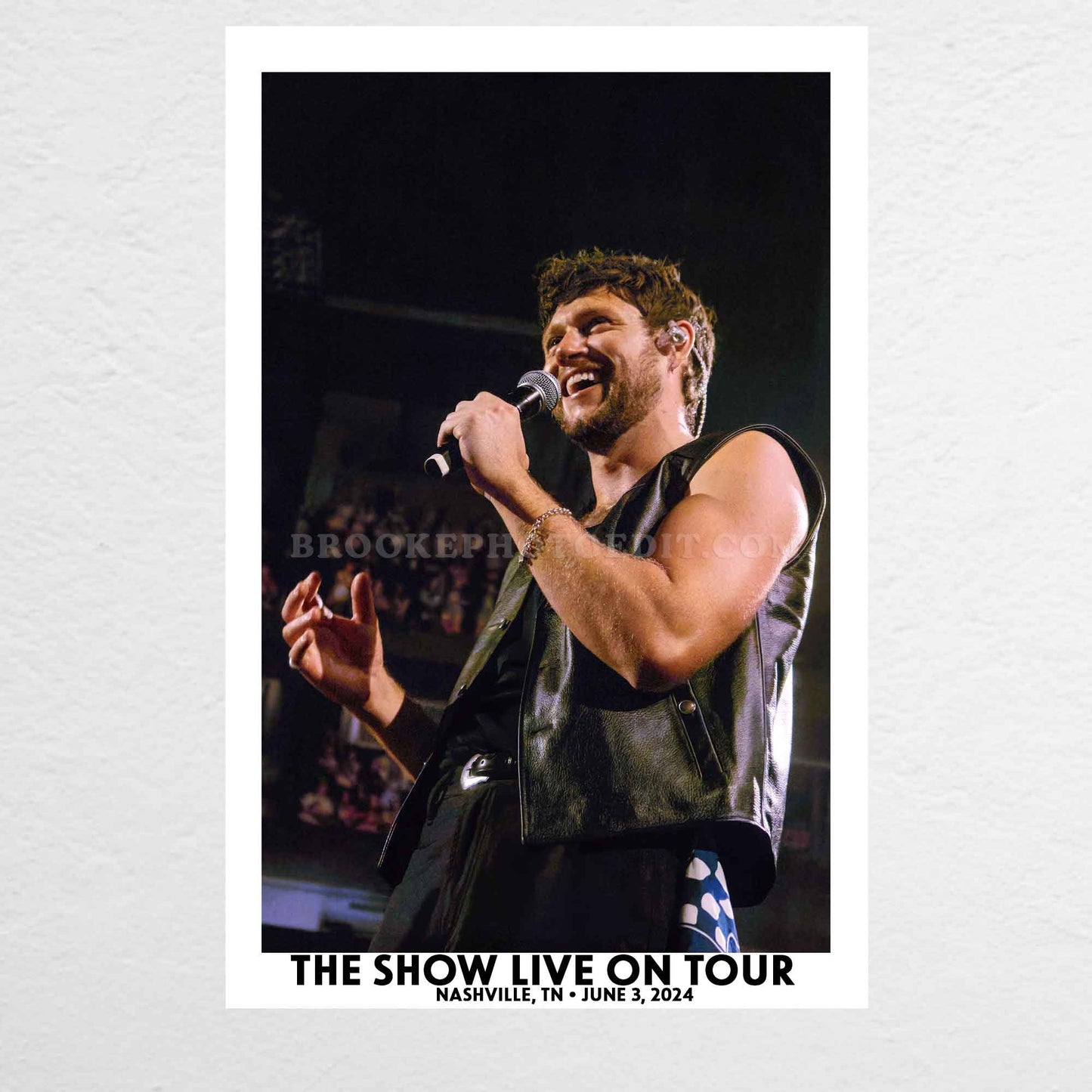 Niall The Show Live On Tour Nashville Poster Print