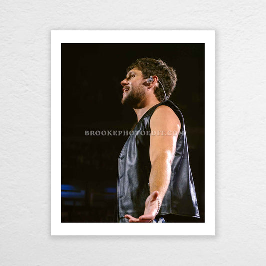 Niall The Show Live On Tour Nashville Poster Print