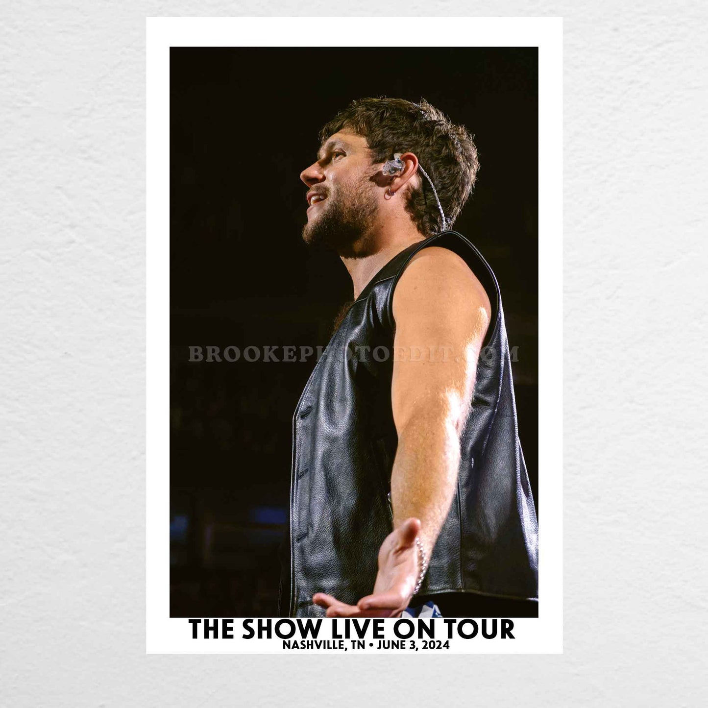 Niall The Show Live On Tour Nashville Poster Print