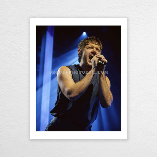 Niall The Show Live On Tour Cincinnati Poster Print
