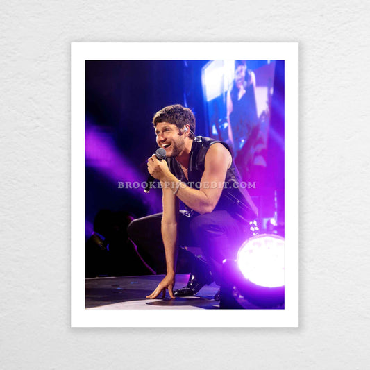 Niall The Show Live On Tour Nashville Poster Print