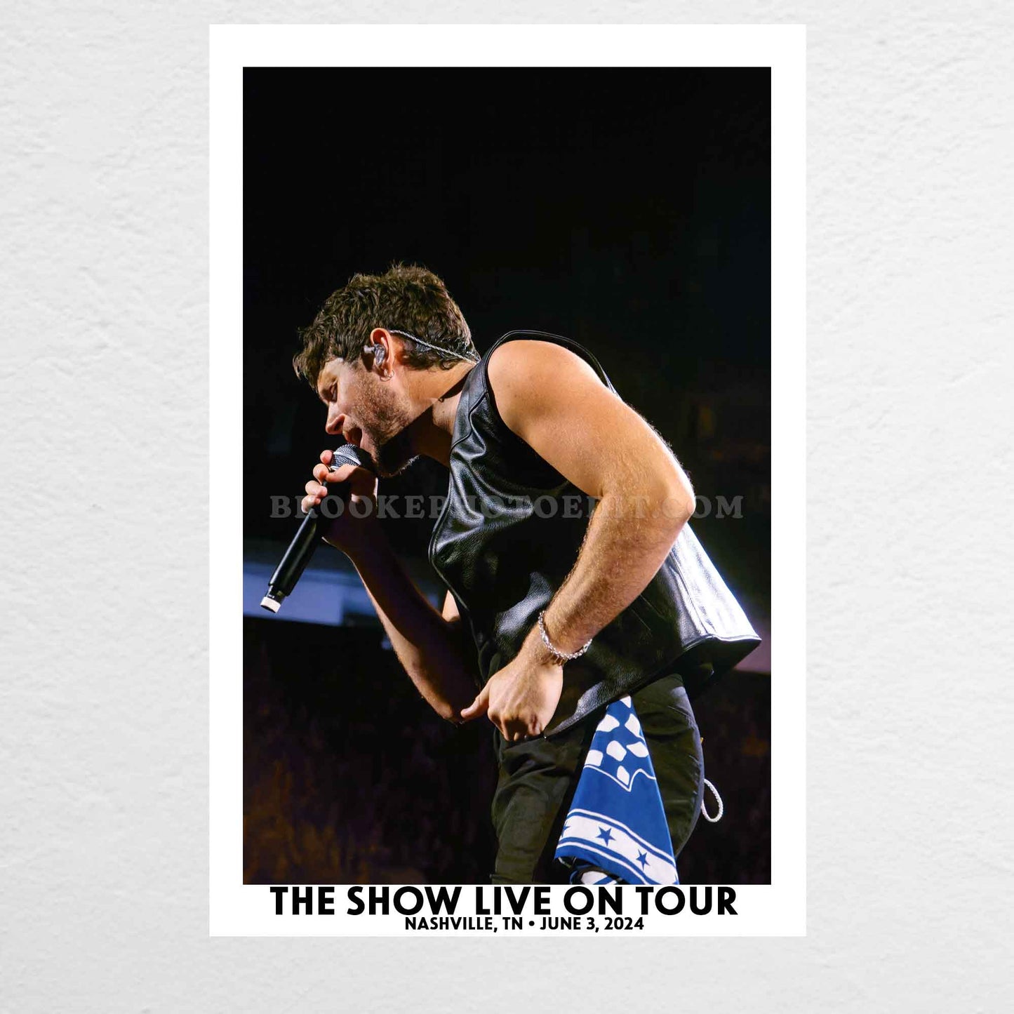 Niall The Show Live On Tour Nashville Poster Print