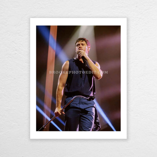 Niall The Show Live On Tour Cincinnati Poster Print