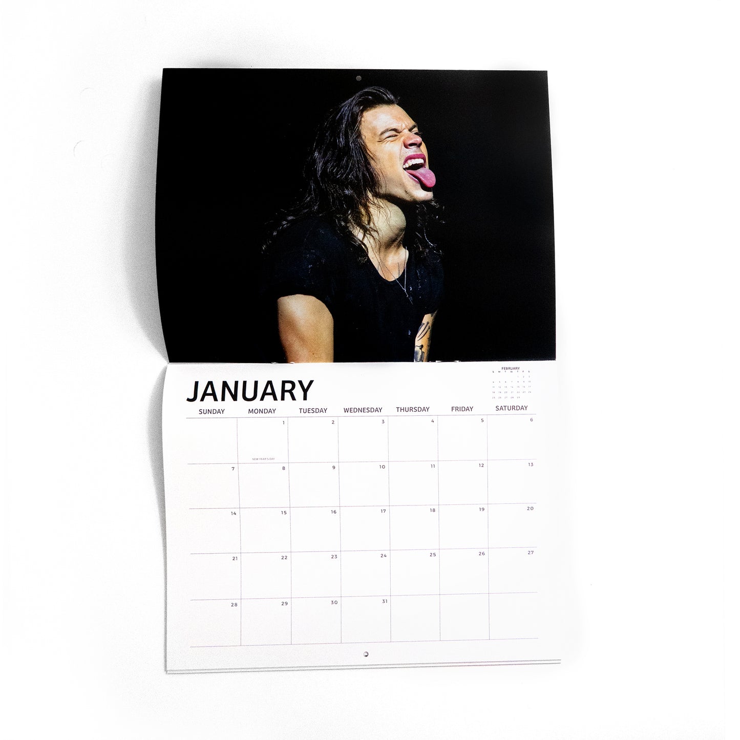 2024 Long Hair Harry Calendar