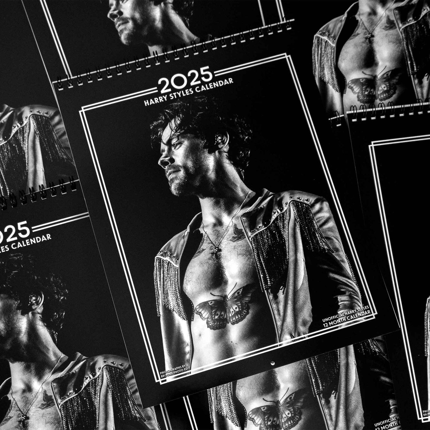 2025 Harry Styles Wall Calendar