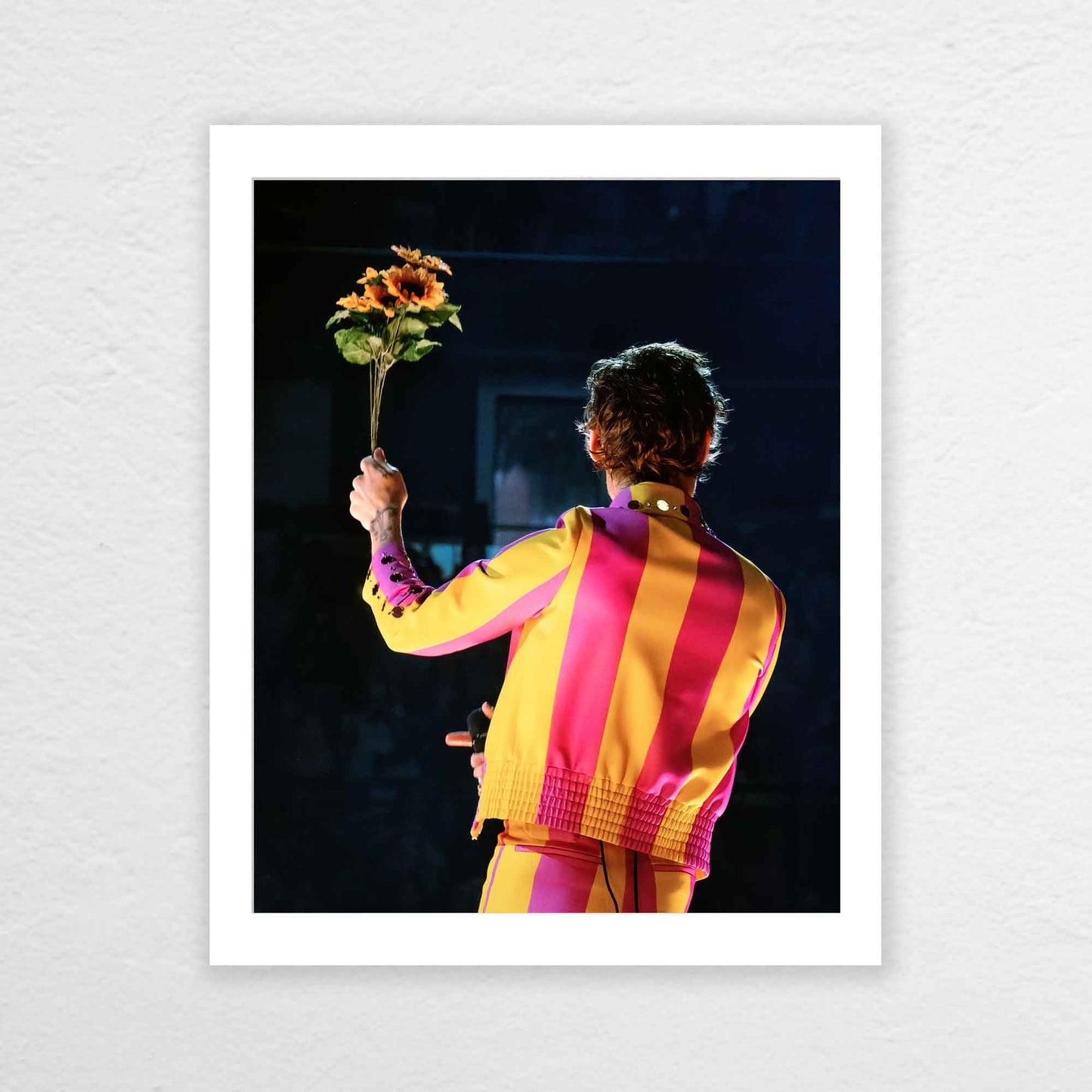 Harry Love On Tour Chicago Night 5 Print