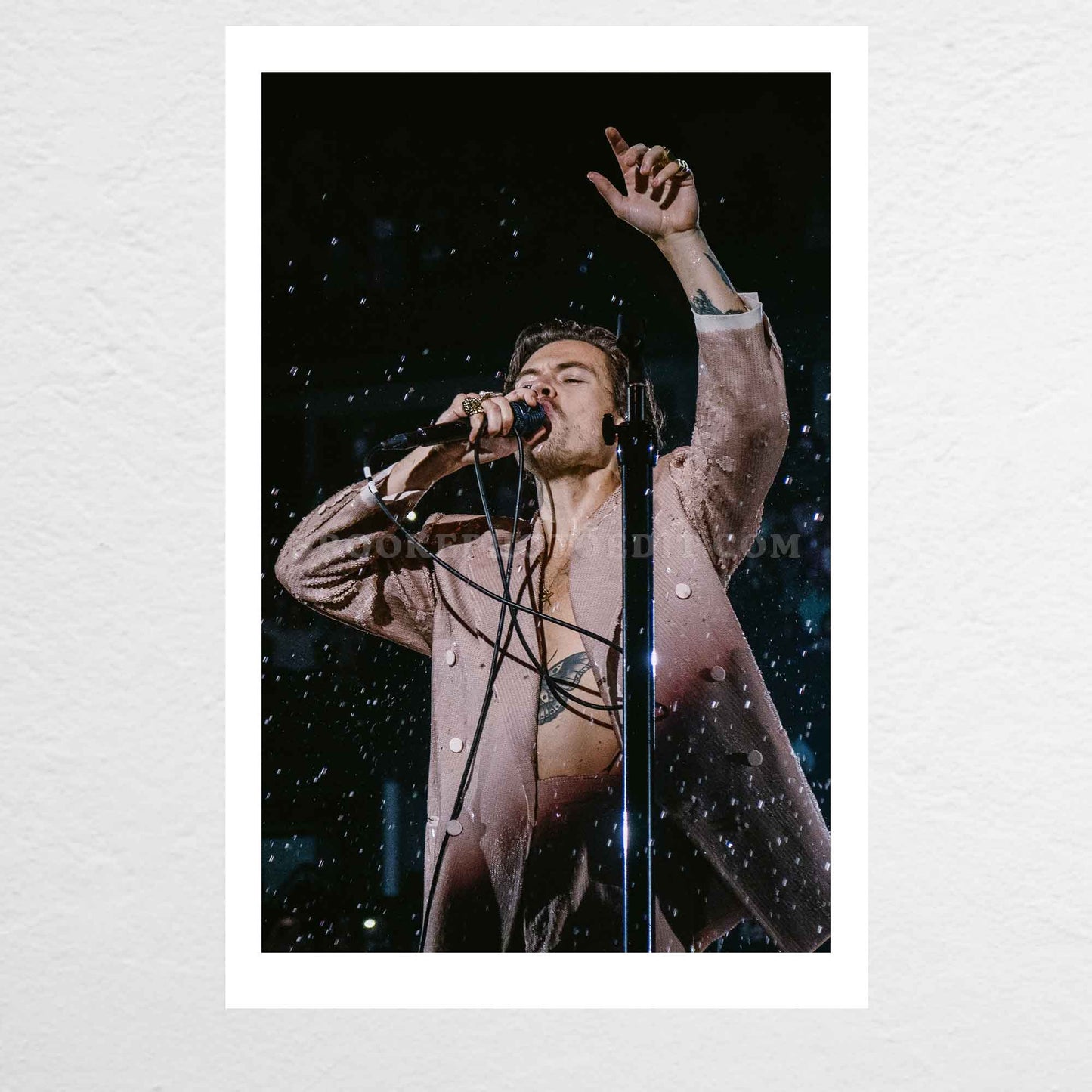 Harry Love On Tour Nashville Night 1 Print