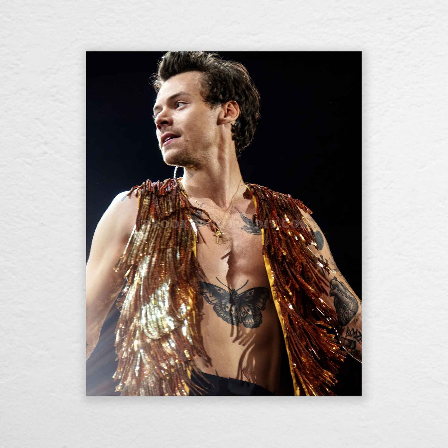 Harry Love On Tour Long Island Print