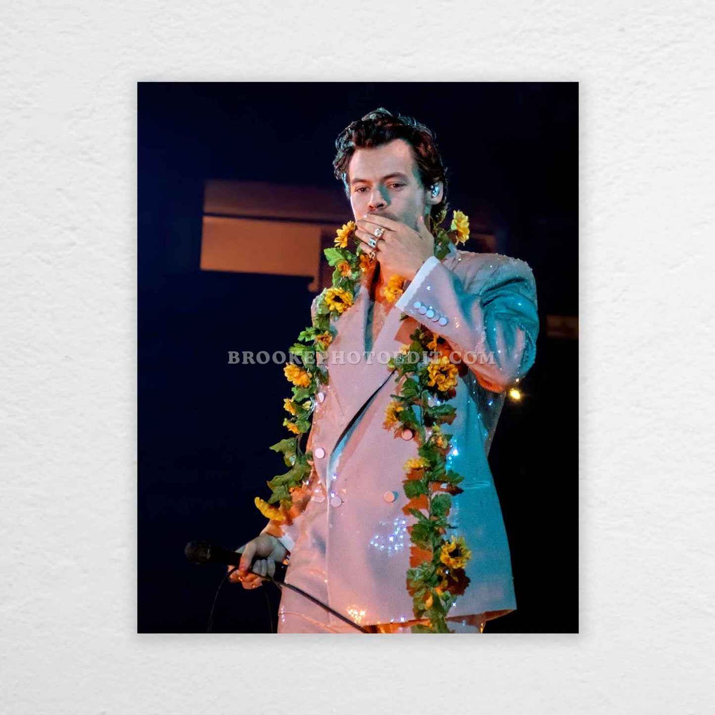 Harry Love On Tour Nashville Night 1 Print