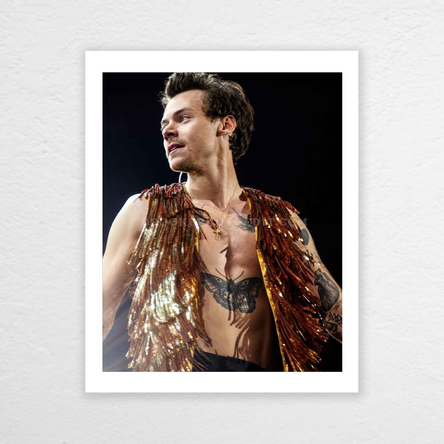 Harry Love On Tour Long Island Print