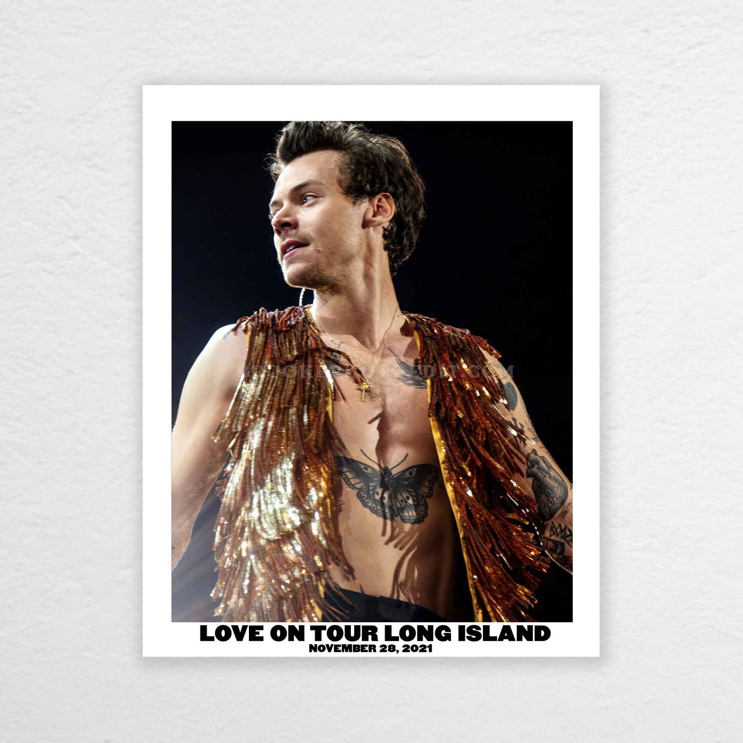 Harry Love On Tour Long Island Print