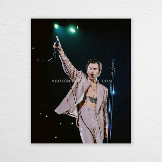 Harry Love On Tour Nashville Night 1 Print