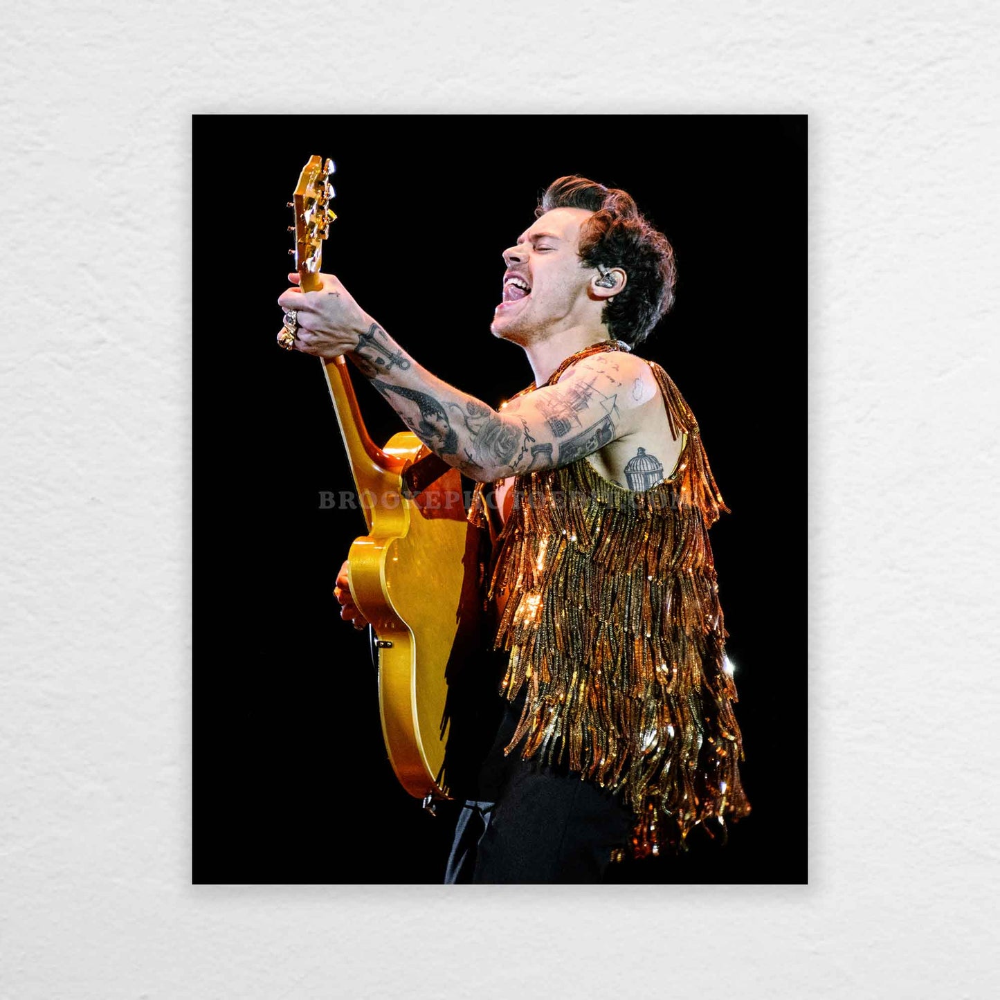 Harry Love On Tour Long Island Print