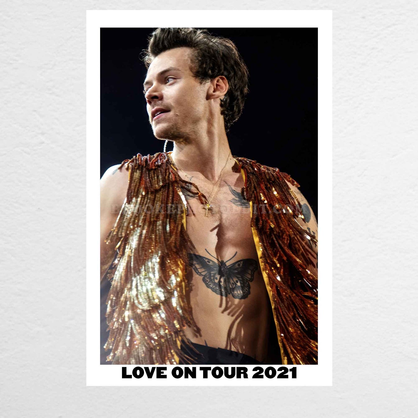 Harry Love On Tour Long Island Print