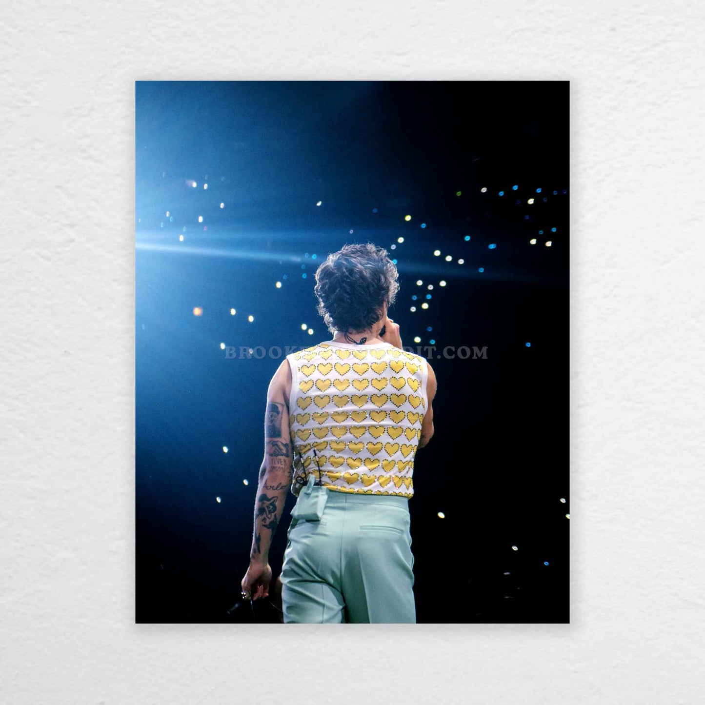 Harry Love On Tour Chicago Night 6 Print