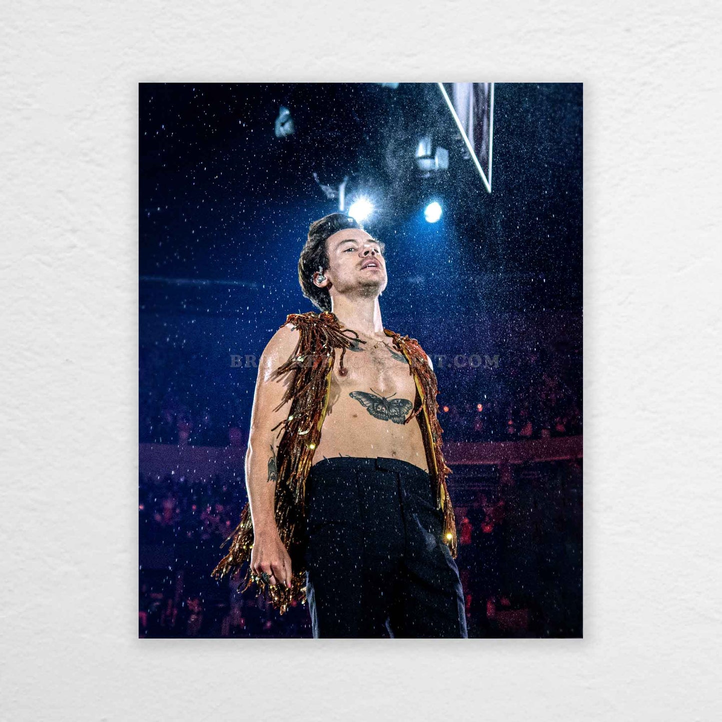 Harry Love On Tour Long Island Print