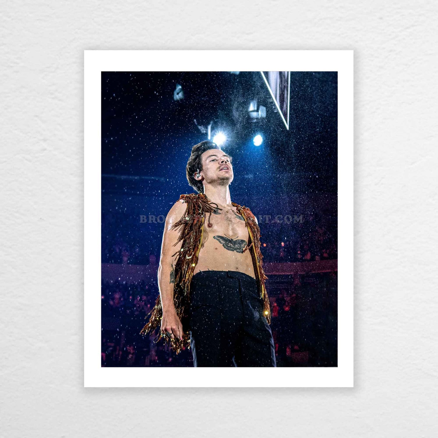 Harry Love On Tour Long Island Print