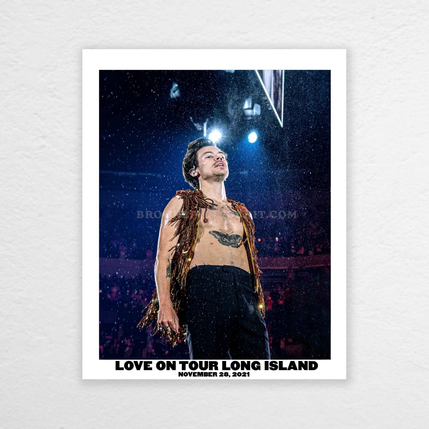 Harry Love On Tour Long Island Print