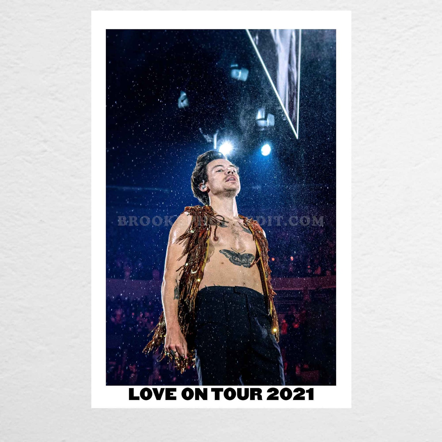 Harry Love On Tour Long Island Print