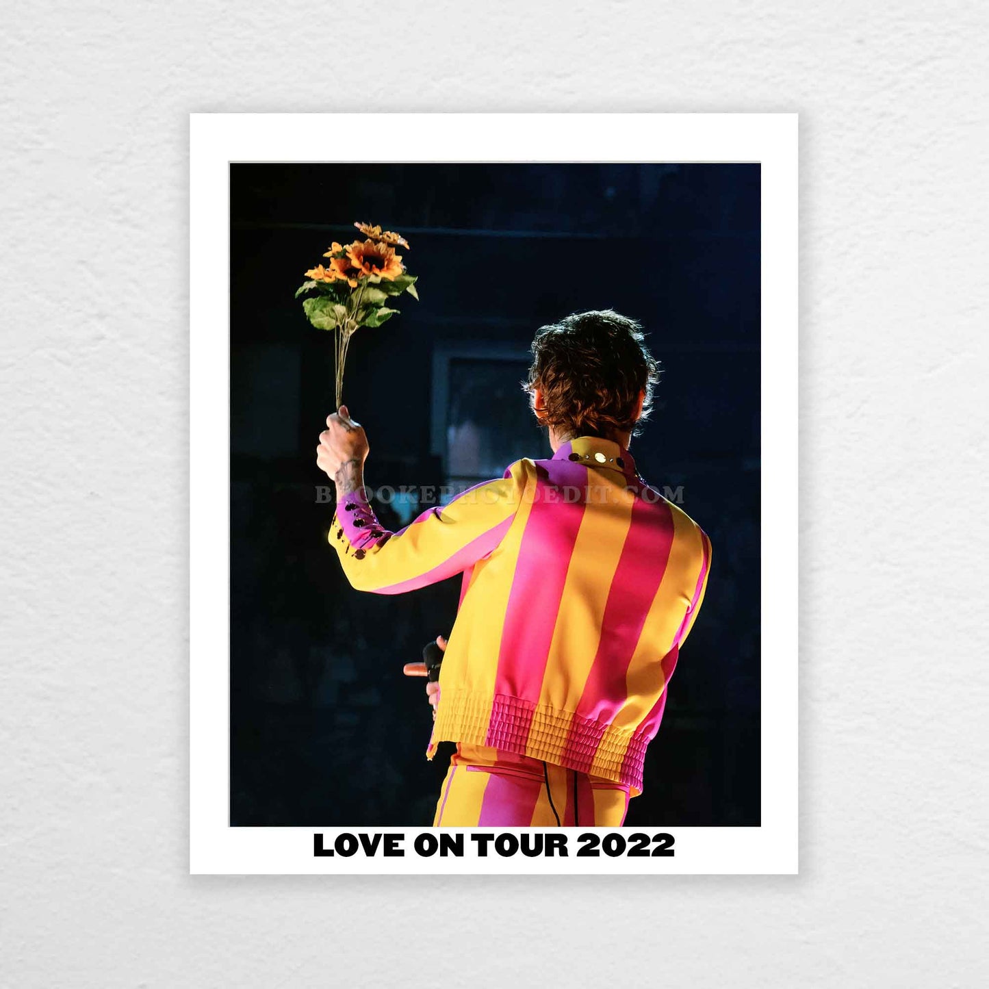 Harry Love On Tour Chicago Night 5 Print