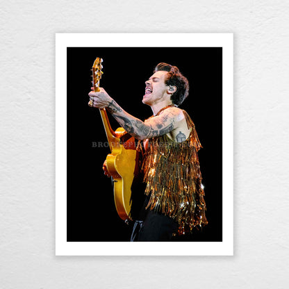 Harry Love On Tour Long Island Print