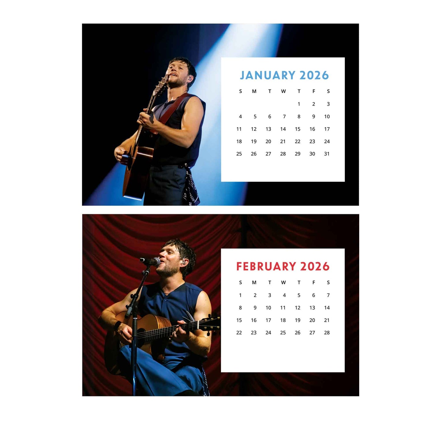 2026 Niall Horan Desk Calendar