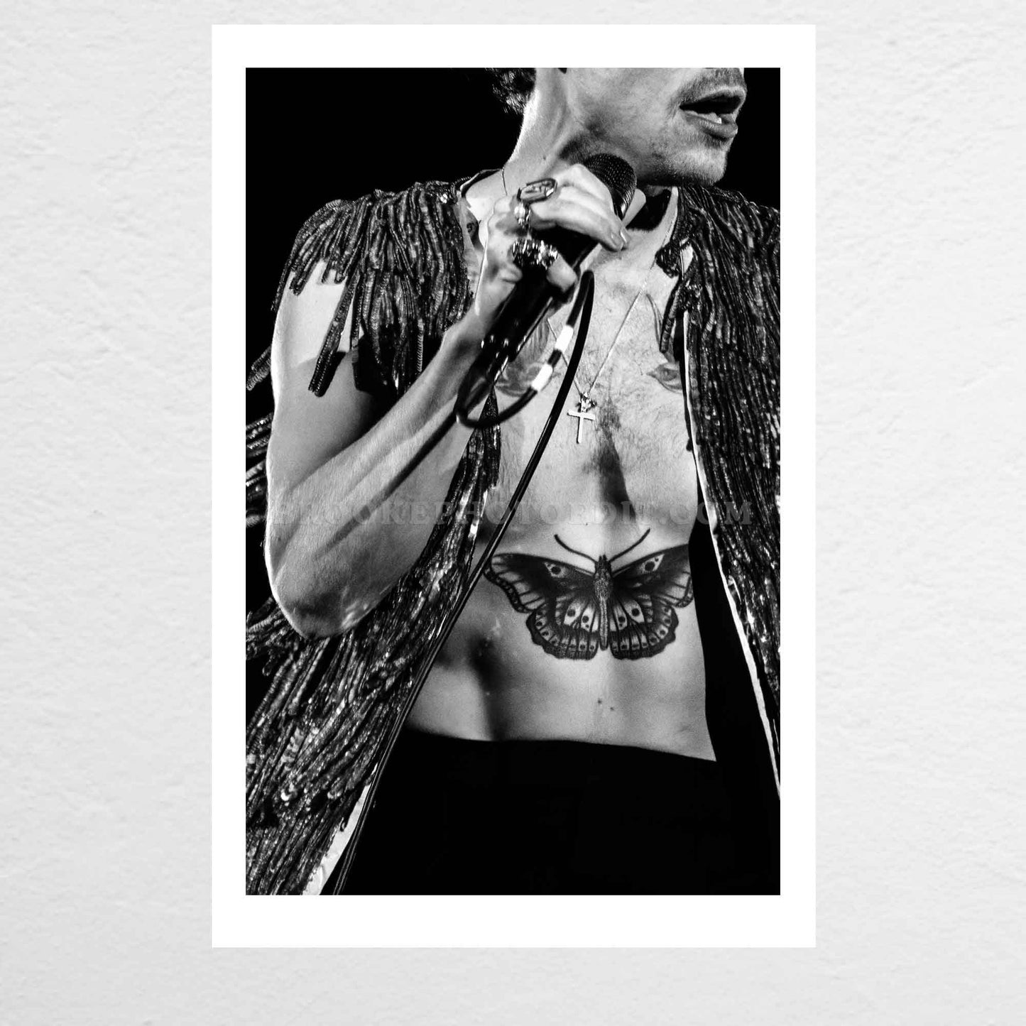 Harry Love On Tour Long Island Print